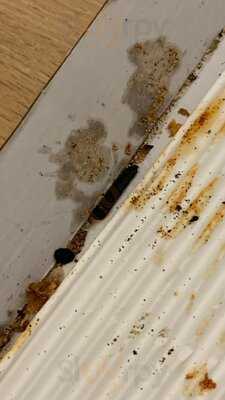 Dieci Pizza Genève Acacias