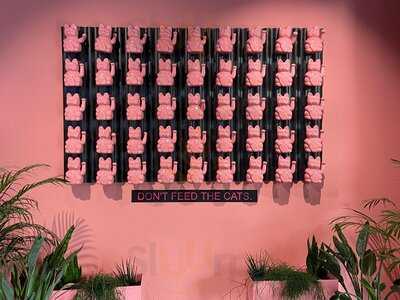 Pao Pao - Modern Tea - Zurich