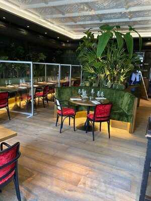 Churrasco Steak & Nikkei Cuisine