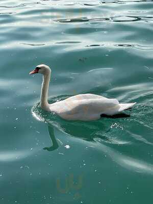 Fischerstube Zürihorn