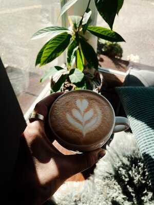 Tropical Bike Shop – Coffee