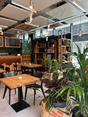 Café Tacuba Neustadt