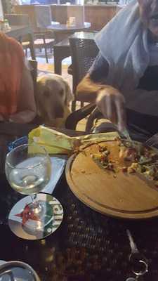 Joya Bar And Bistro Restaurant