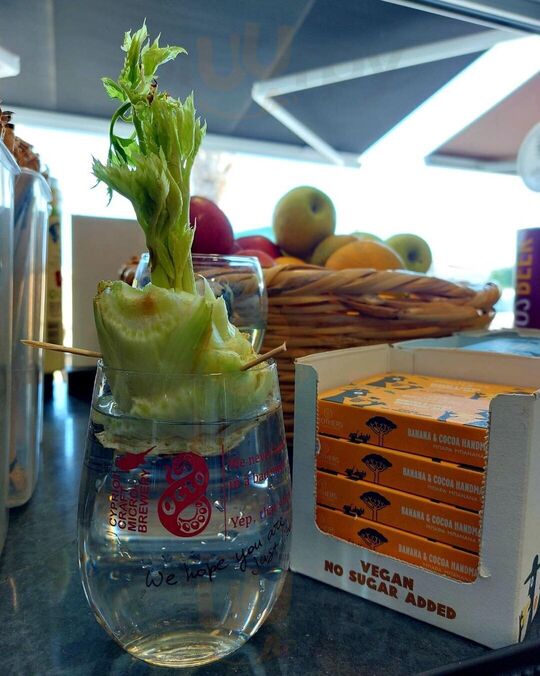 Healthy Life Organic Cafe