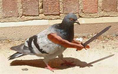 Bar, Který Neexistuje