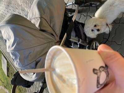 Rotatoria Caffè Medlánky