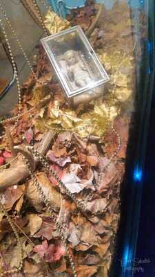 Kofi-kofi - Mobilni Prodej Kavy