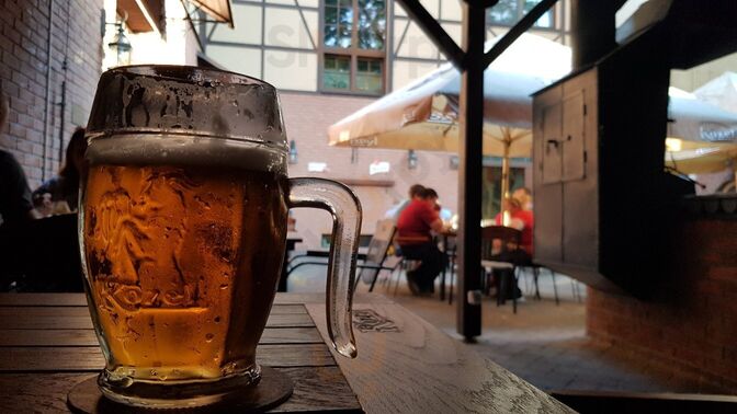 Kozlovna U Hejtmana Sarovce