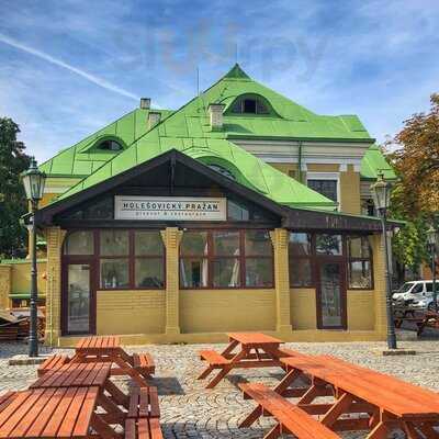 Holešovický Pražan