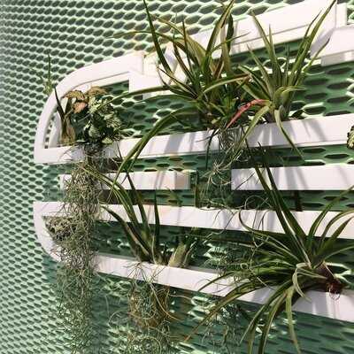 Banh-mi-ba Křižíkova