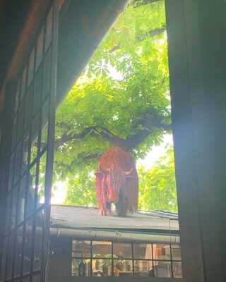 Kavárna Co Hledá Jméno