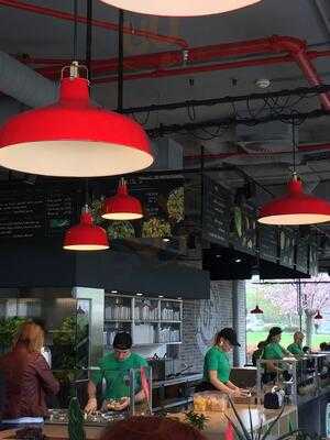 Green Factory - Salad Your Life