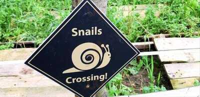 Zážitková šnečí Restaurace