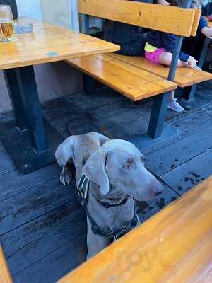 Plzeňská Restaurace U Gráffů