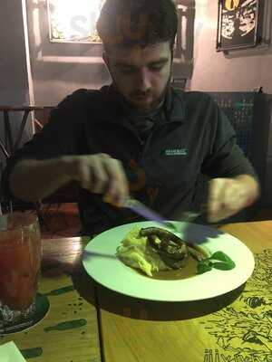 Zephyr Excellent Urban Pub