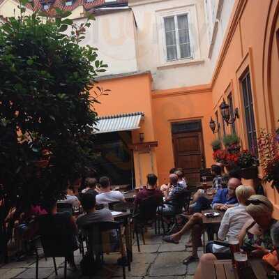 Zephyr Excellent Urban Pub