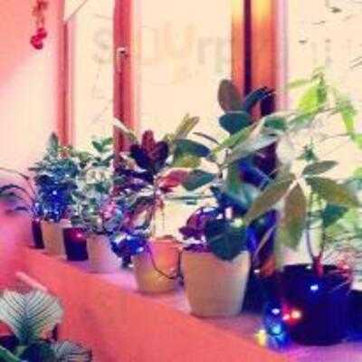 Marmelada—coffeehouse And Sweetshop In Prague.