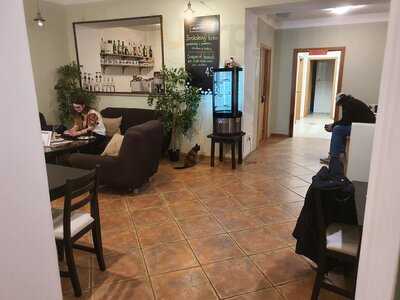 Kočkafé Schrödinger