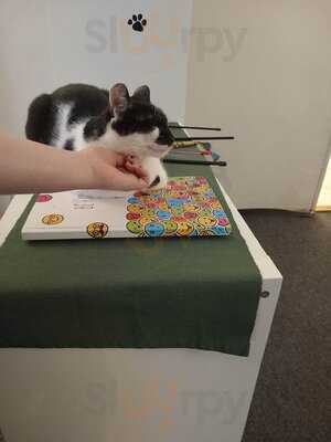 Cat Cafe Prague