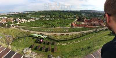 Vinotéka Sv. Klára