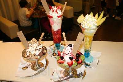 Sani Authentic Italian Gelato