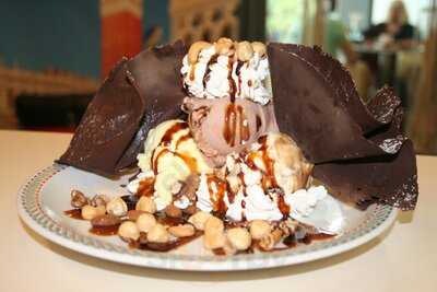 Sani Authentic Italian Gelato