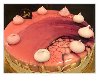 Sani Authentic Italian Gelato