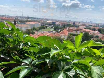 Panorama Express Cafe