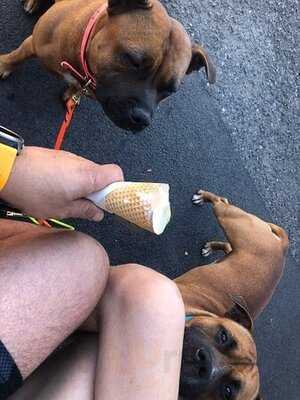 La Favorita - Zmrzlinárna Příbram