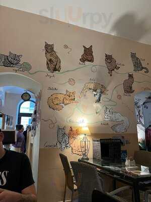 Kočičí Kavárna Na Smíchově