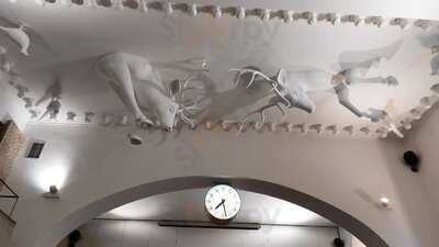 Vinohradský Parlament