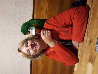 Restaurace U Blekotů