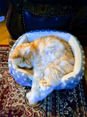 Restaurace Karlinsky Andel