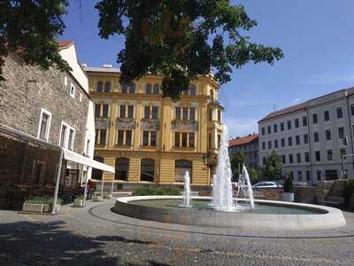 Photo 4