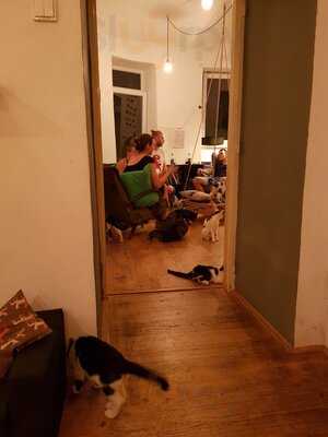 Pelíšek - Kočičí Kavárna