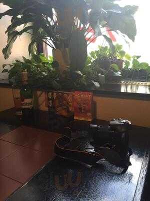 Činská Restaurace Na Ul. Národní