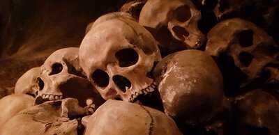 Tavern U Krale Brabantskeho