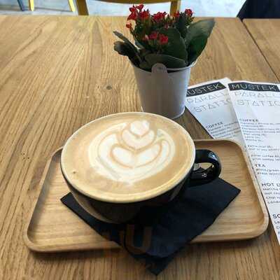 Mustek Parallel Station