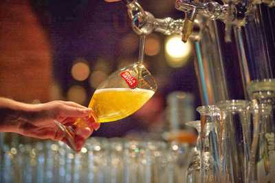 Portrefena Husa Andel