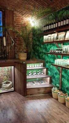 Step In Shop & Fresh