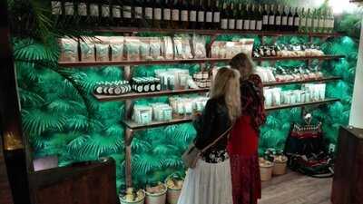 Step In Shop & Fresh