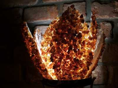 Step In Shop & Fresh