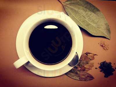 Step In Shop & Fresh