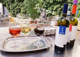 Marova Letni Zahradka