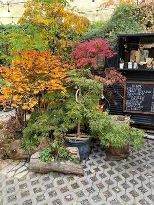 Botanica Cofee Truck