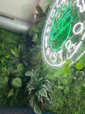 Avocado Bistro & Bar