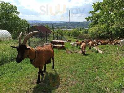 Občerstvení Na Kamenné Horce