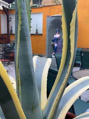 Hacienda La Victoria