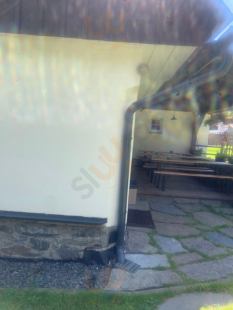 Sněženka