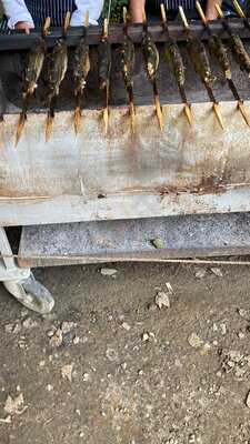 Fischhütte Bei Nashorns